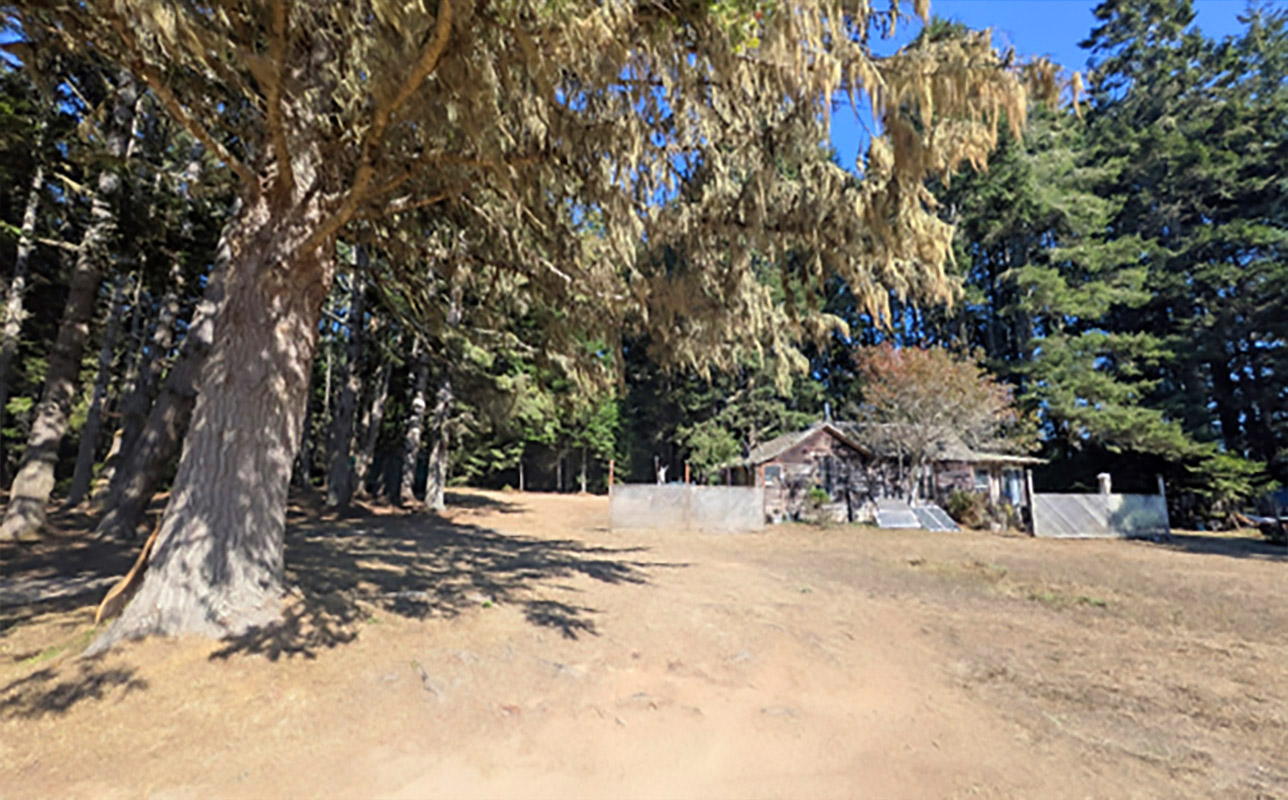 Best Real Estate Services