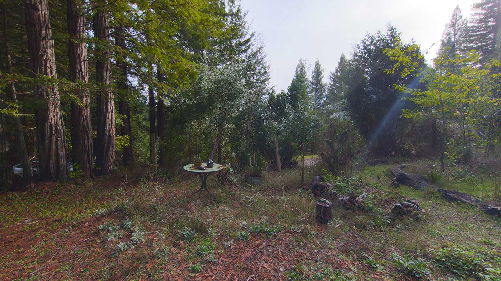 Best Real Estate Services