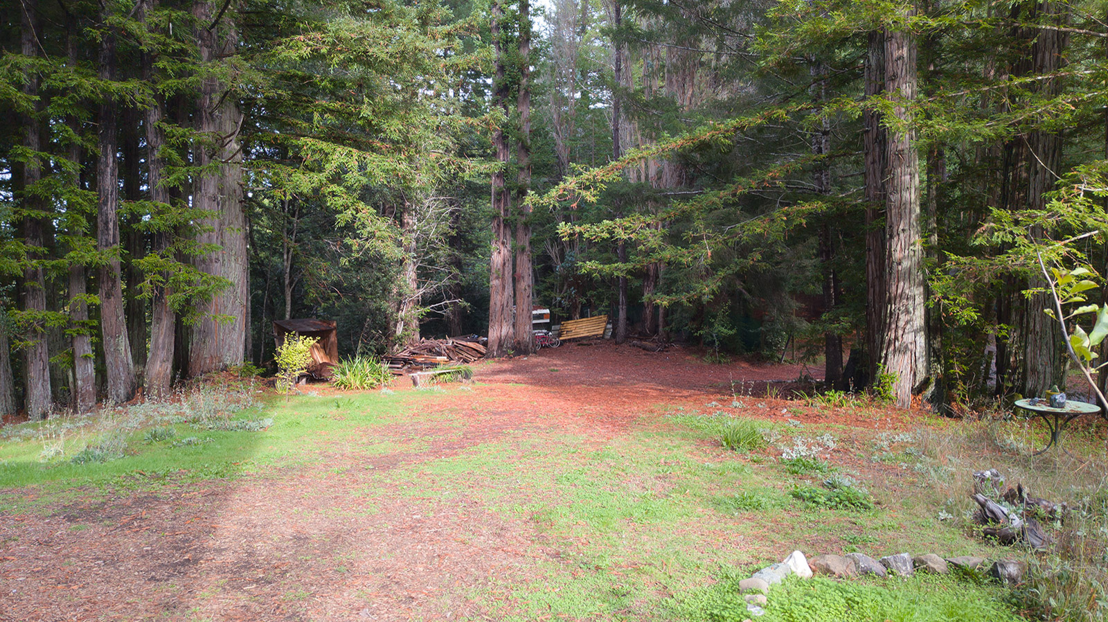 Best Real Estate Services