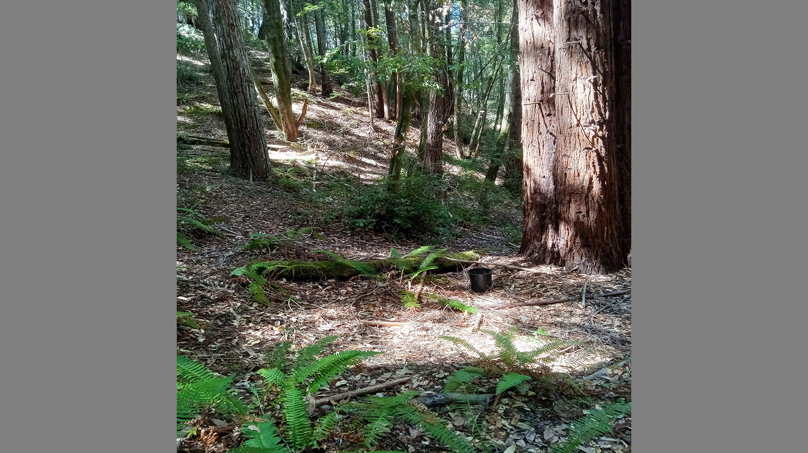 Best Real Estate Services