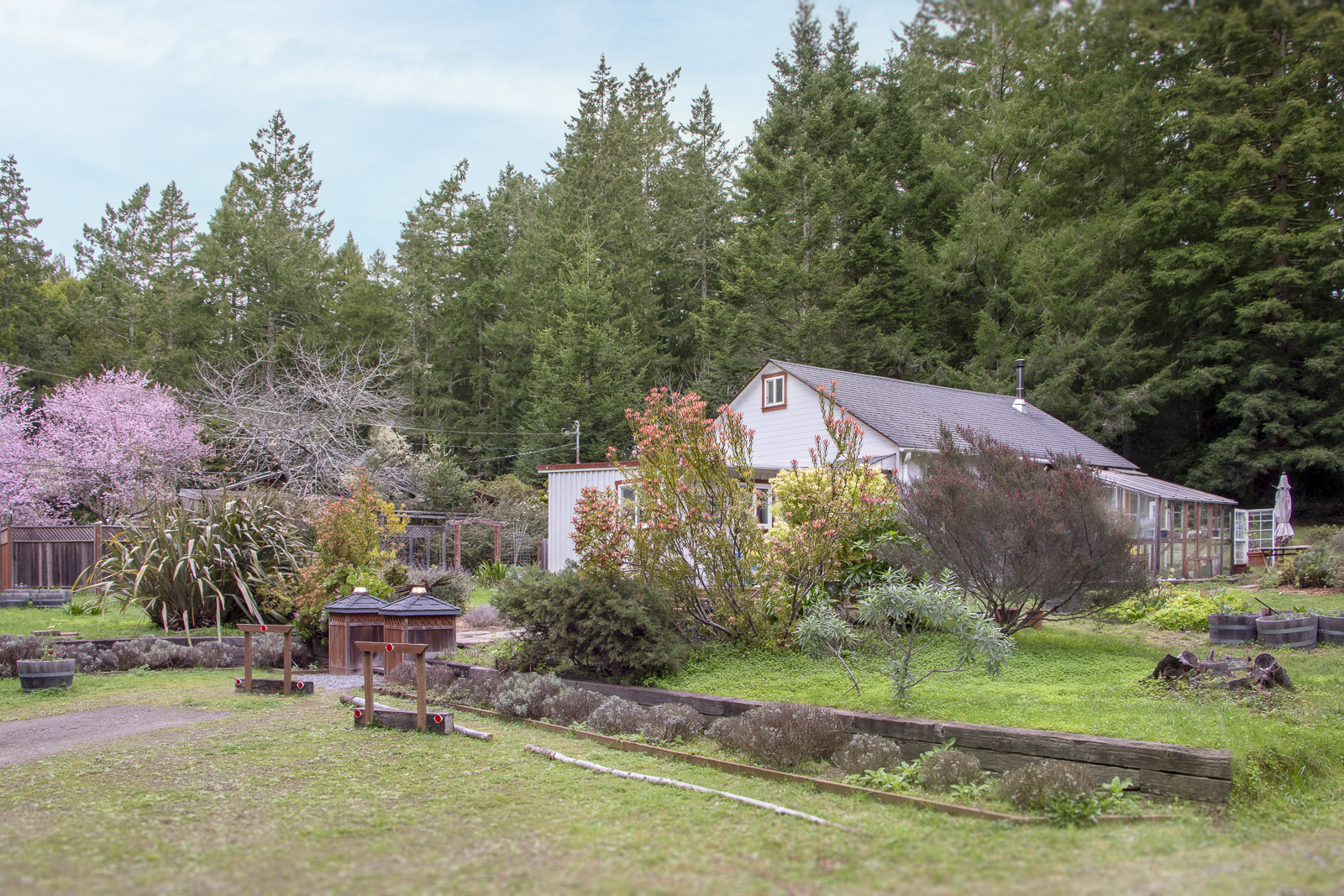 Mendocino Property Best Real Estate Services
